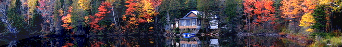 Ma cabane à sucre au Canada, dans la forêt d'érables