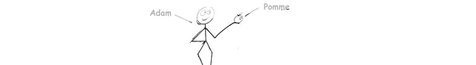 La pomme d'Adam