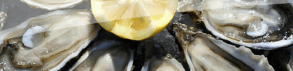 Les huîtres (1) : acheter des huîtres sans passer pour une tanche chez votre poissonnier