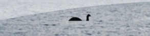 On a enfin retrouvé le monstre du Loch Ness !