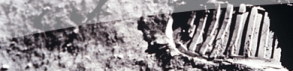 Les premiers pas sur la lune