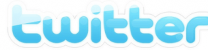 Twitter, LE buzz du micro-blogging ?
