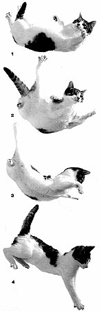 Un demi-tour en moins d'une demi-seconde