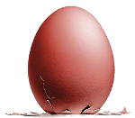 L'&oelig;uf de Colomb