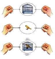 Le thaumatrope <span style=