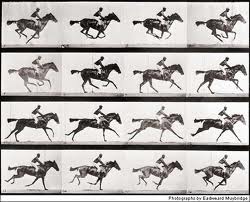 1877&nbsp;Edward James Muybridge&nbsp;: 24&nbsp;appareils déclenchés par des fils tendus tout le long de la piste saisissent la décomposition du galop de Daisy