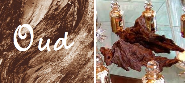 Oud
