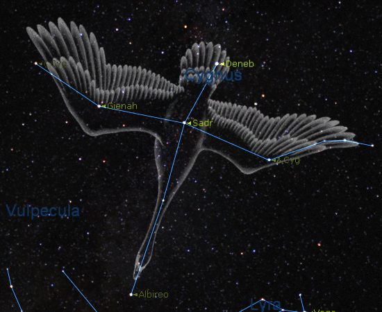 constellation du cygne