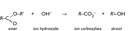 Équation chimique de la saponification. 