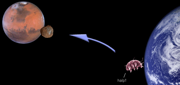 Le tardigrade, voyageur interstellaire. 