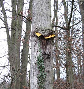 L'avaleur de pancartes