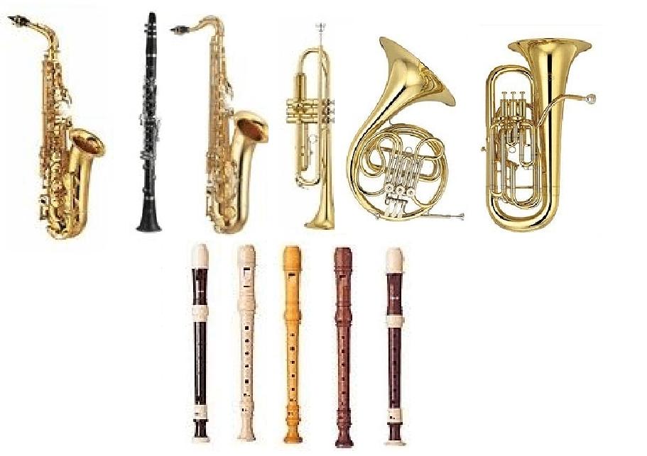 Instruments à vent, de cuivre ou de bois. 
