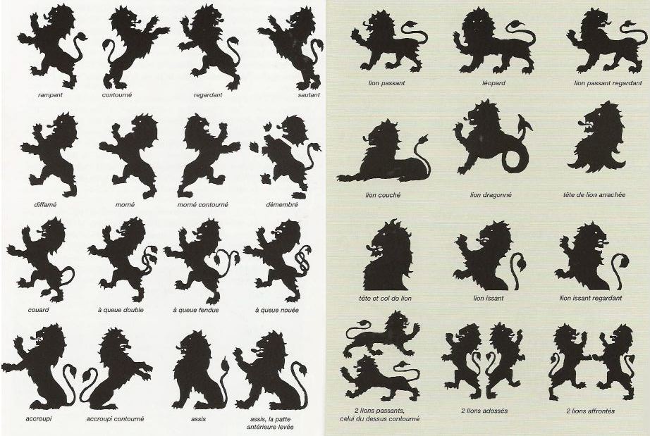 Les attitudes caractéristique du lion