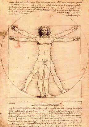 l'homme de Vitruve de Léonard de Vinci&nbsp;: le corps humain parfait