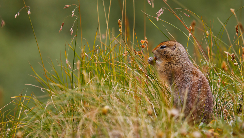 Photo après traitement