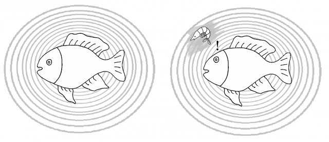 On ne se moque pas. Notez la représentation tout à fait incorrecte du champ électrique. On ne se moque pas. Notez la représentation tout à fait incorrecte du champ électrique.