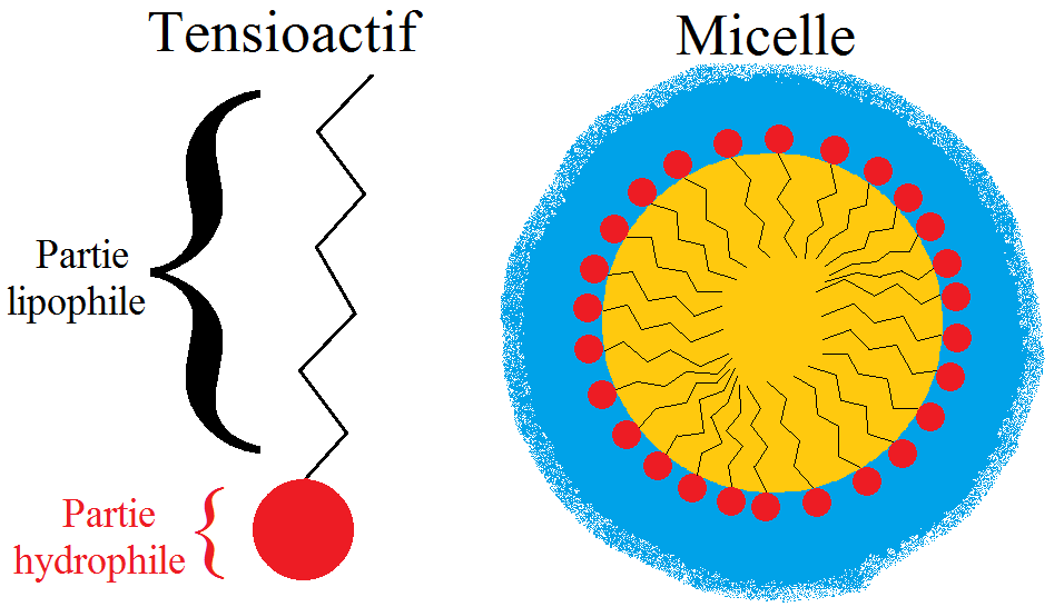 N.B.&nbsp;: ce schéma (comme le précédent) n'est pas à l'échelle