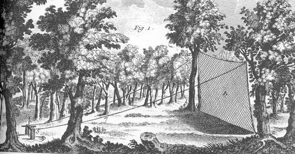 Chasse avec un panneau