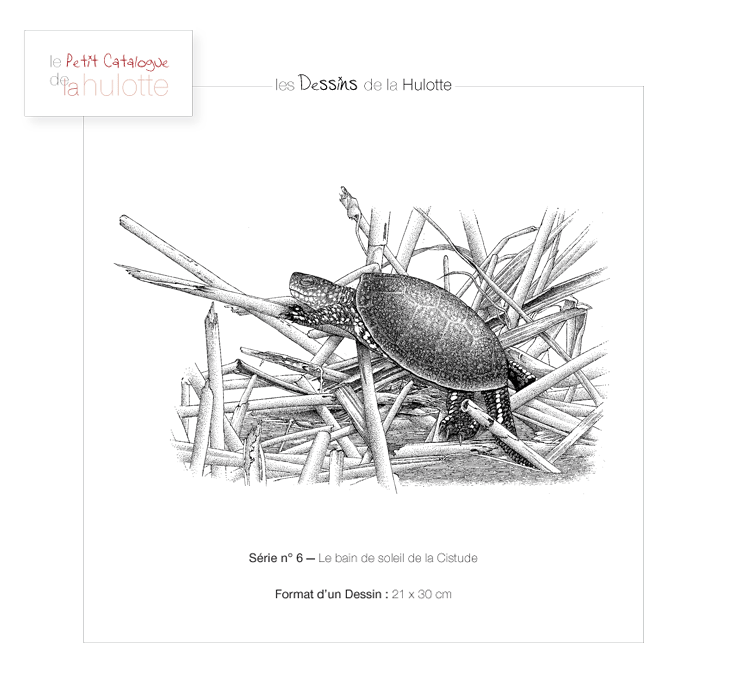 Les dessins de la Hulotte Les dessins de la Hulotte