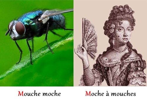 C'est rythmé, non ? Mouchemochémochamouche… Avec un p'tit beat jazzy, ça ferait un carton. C'est rythmé, non ? Mouchemochémochamouche… Avec un p'tit beat jazzy, ça ferait un carton.