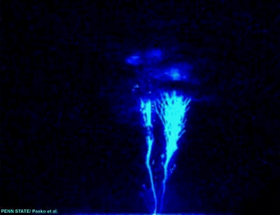 Fée météorologique Fée météorologique