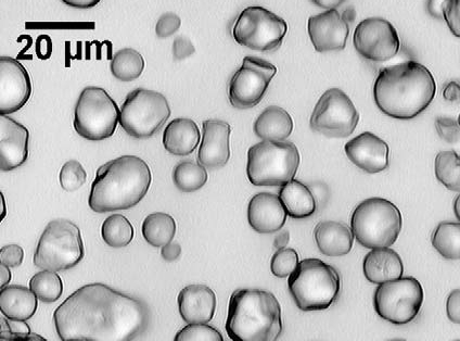 Le mélange eau-maïzena d'un point de vue microscopique