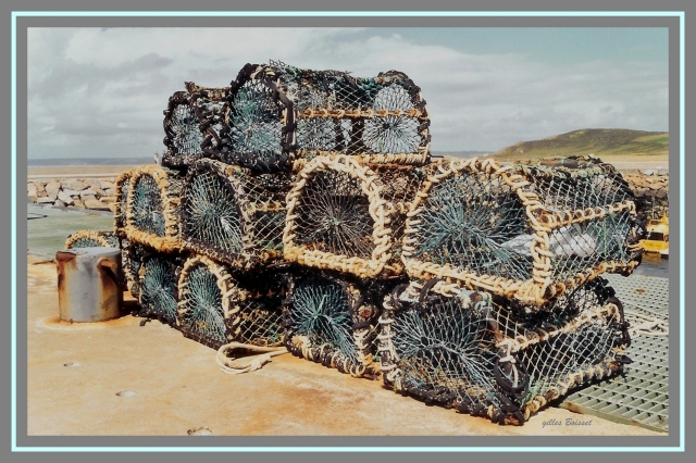 Casiers pour la pêche aux crabes. 