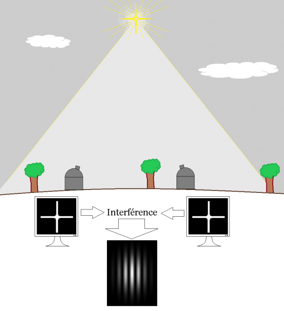 Les arbres, c'est juste pour la déco'