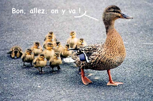 Et c'est parti ! Et c'est parti !