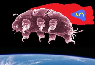 Supertardigrade&nbsp;! 